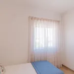 Salome * אלבופיירה